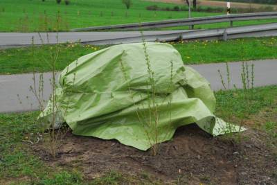 2014-04-04: Einweihung des Schnadesteins - 