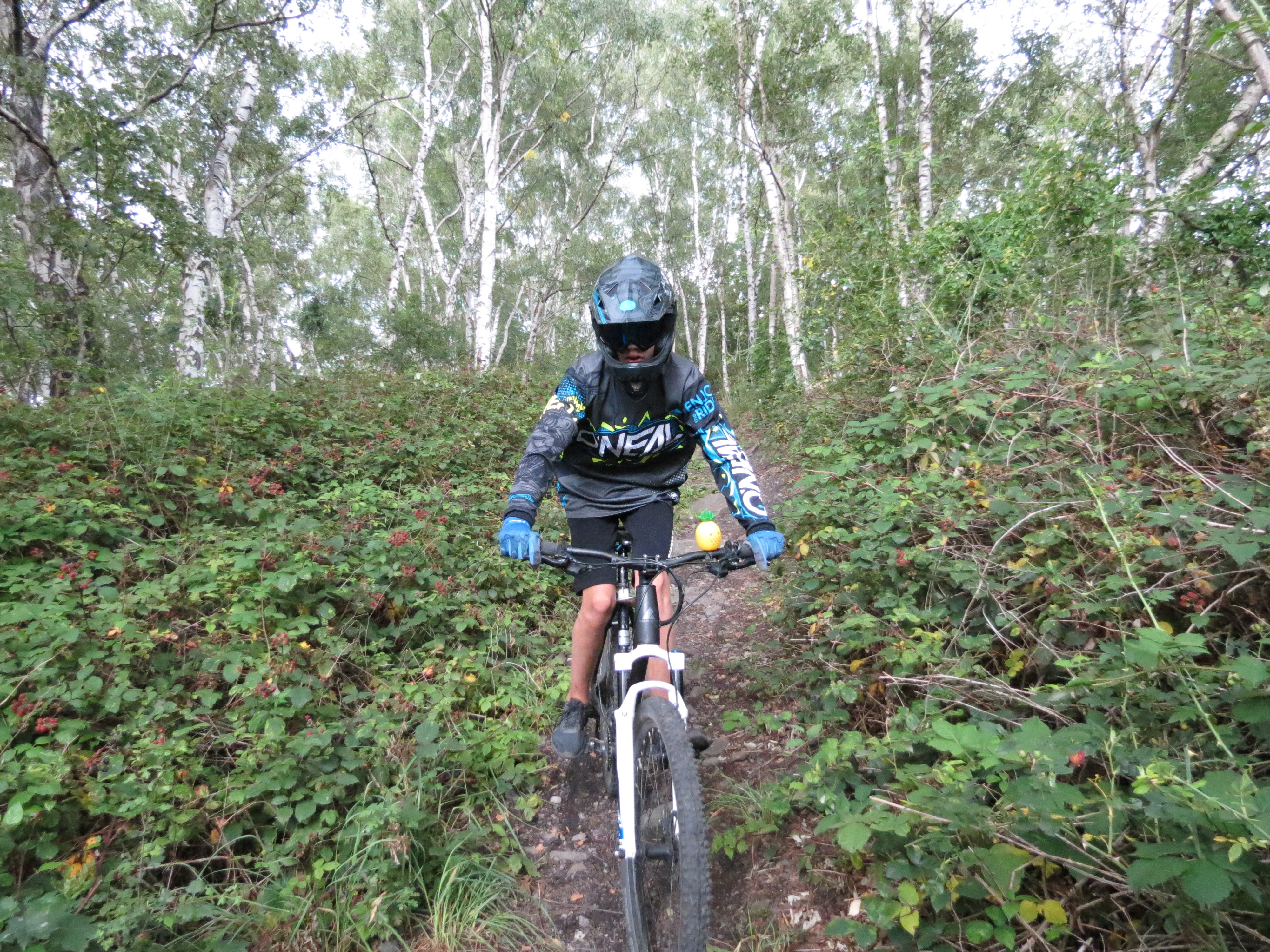 Die CDU will die Halde in Heessen fr eine attraktive Mountainbike-Strecke nutzen.